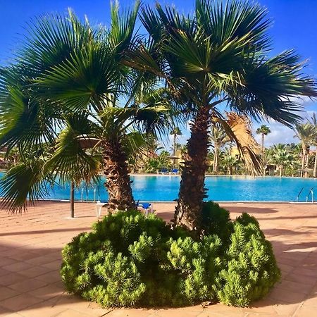 Fuerteventura Apartments Corralejo Extérieur photo