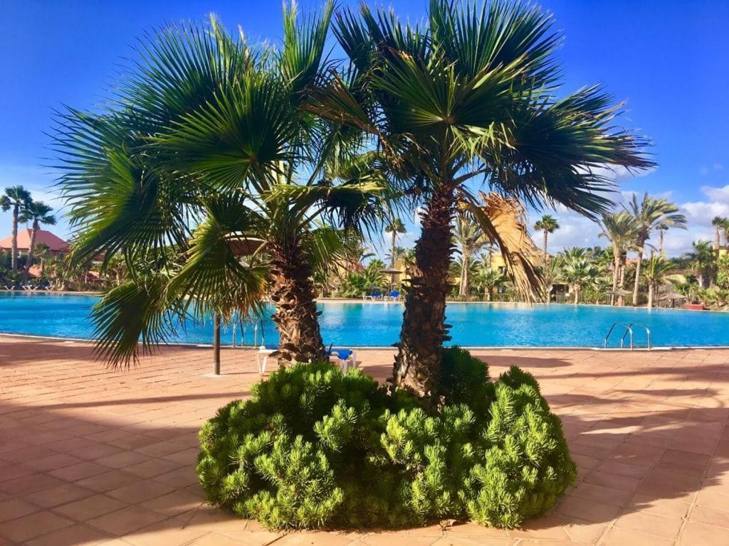 Fuerteventura Apartments Corralejo Extérieur photo