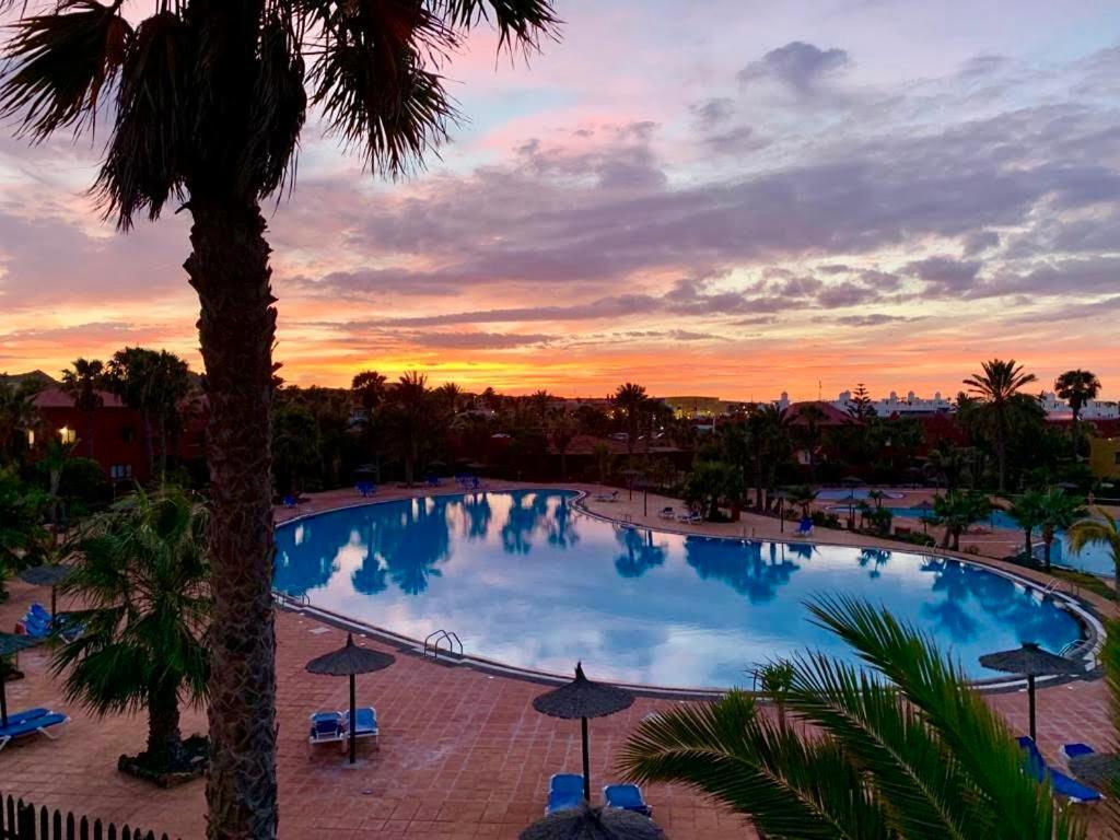 Fuerteventura Apartments Corralejo Extérieur photo