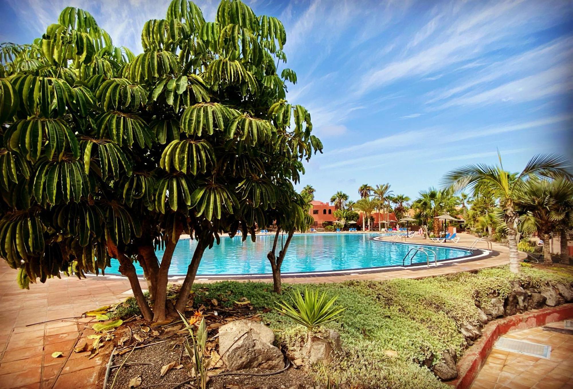Fuerteventura Apartments Corralejo Extérieur photo