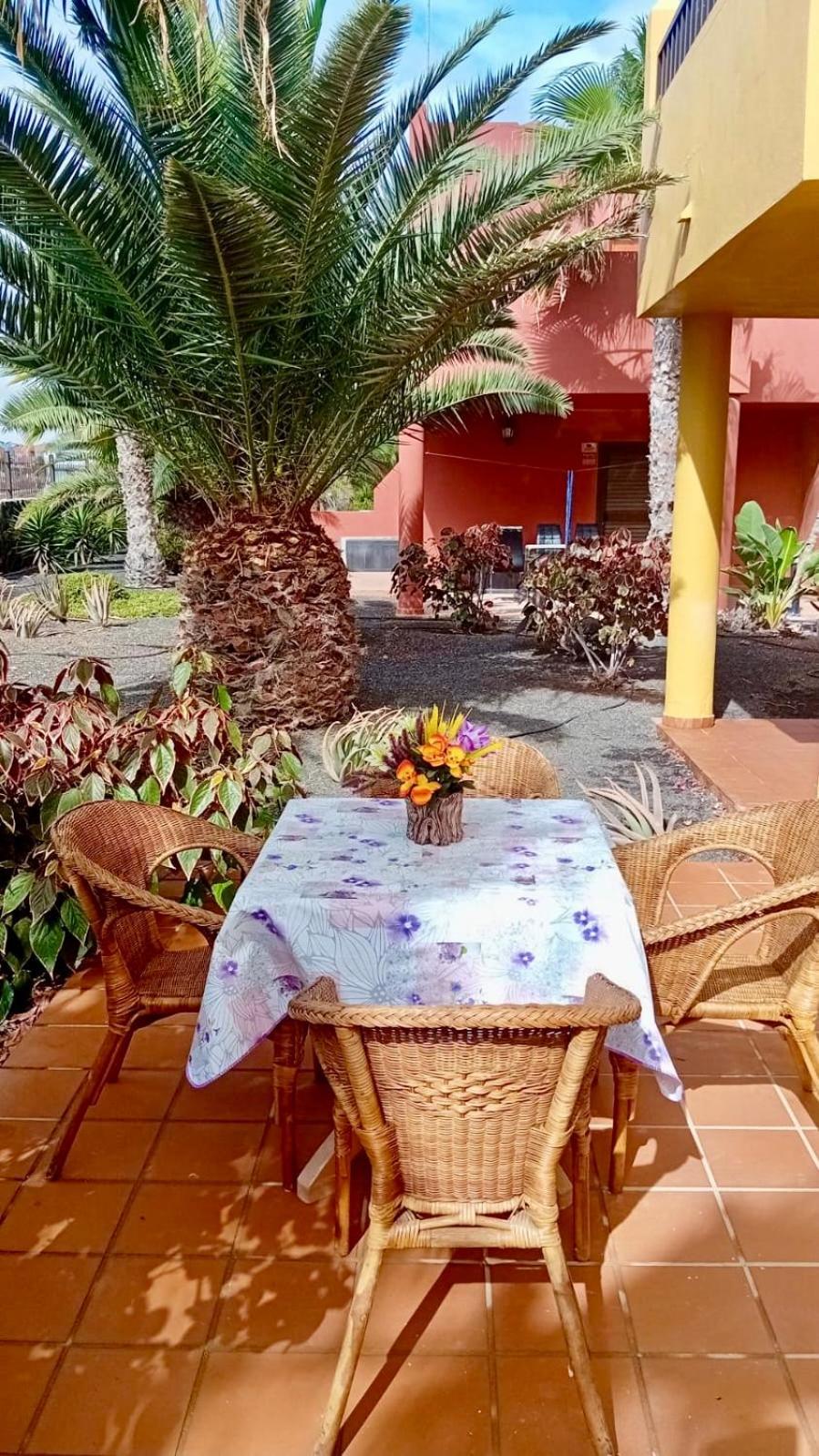 Fuerteventura Apartments Corralejo Extérieur photo